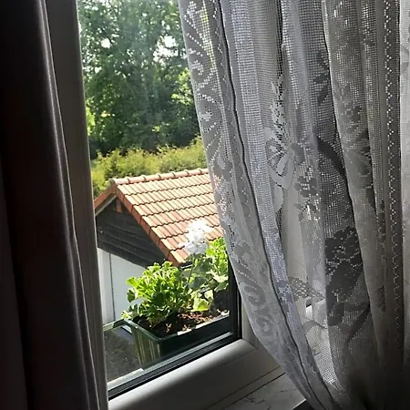 Sylvania B&B 스파
